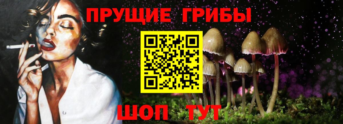 Оренбург  Галлюциногенные грибы GOLDEN TEACHER  Вход с VPN 